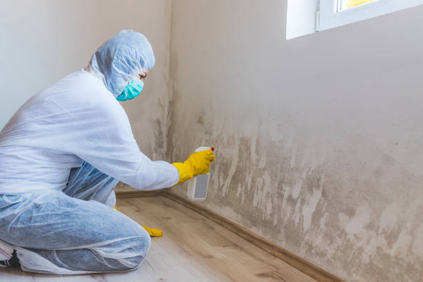 Commercial Mold Remediation assessment for commercial property in Pomfret